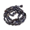 Natural Iolite/Cordierite/Dichroite Beads Strands G-I389-A34-01B-3