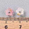 Frosted Transparent Acrylic Beads OACR-N137-72E-4