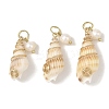 Copper Wire Wrapped Natural Spiral Shell Pendants Pendants PALLOY-JF05972-02-1