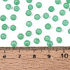 FGB Frosted Transparent Glass Seed Beads SEED-N013-04A-09-4