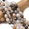 Natural Bamboo Leaf Agate Beads Strands G-Z119-A27-02-1