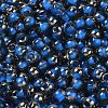 Transparent Inside Colours Glass Seed Beads SEED-H002-A-C215-3