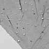 Polyester Lace Fabric DIY-WH0750-145-1