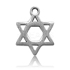 304 Stainless Steel Charms STAS-CJ0002-06-1