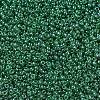 MIYUKI Round Rocailles Beads SEED-X0054-RR0173-2