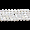 Opaque Solid Color Electroplate Glass Beads Strands X1-GLAA-F029-P4mm-A15-1