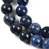 Natural Dumortierite Beads Strands G-G167-A06-10MM-4