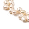 Natural Cultured Freshwater Pearl Beads Strands PEAR-I007-03D-01-4
