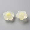 Transparent Acrylic Beads TACR-S152-09C-07-2