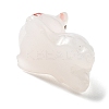 Luminous Resin Lucky Cat Display Decorations DJEW-P020-01A-3