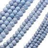 Natural Malaysia Jade Beads Strands G-L645-A01-10mm-11-2