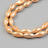 Electroplate Natural Freshwater Shell Beads Strands SHEL-T017-13B-3