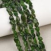 Natural Green Diopside Beads Strands G-G464-A01-01-1