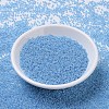 MIYUKI Round Rocailles Beads SEED-JP0008-RR0537-2