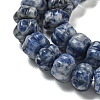 Natural Blue Spot Jasper Beads Strands G-G142-A13-01-4