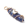 2Pcs 2 Styles Natural Lapis Lazuli Double Terminated Pointed Pendants PALLOY-JF03122-04-4