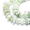 Natural Myanmar Jade/Burmese Jade Beads Strands G-E569-J14-3