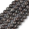 Natural Labradorite Beads Strands G-G0003-C03-10mm-1