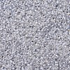MIYUKI Round Rocailles Beads X-SEED-G007-RR0001-2