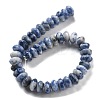 Natural Blue Spot Jasper Beads Strands G-P559-A15-02-3