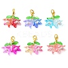 6Pcs 6 Colors Flower Acrylic Pendant Decorations HJEW-JM02719-02-2