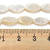 Natural Freshwater Shell Beads Strands BSHE-Z005-05-4