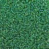 MIYUKI Round Rocailles Beads X-SEED-G007-RR0179L-3