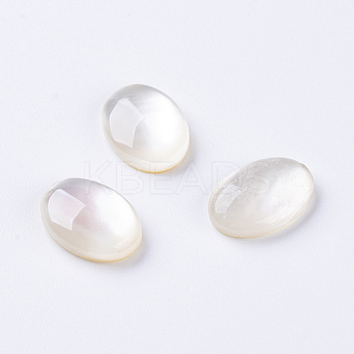 Shell Cabochons X-G-L470-15-1