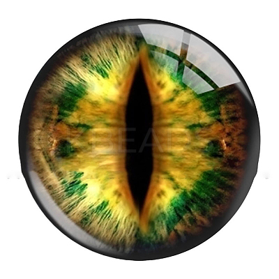 Mixed Animal Eye Pattern Glass Cabochons AJEW-WH0070-08D-1