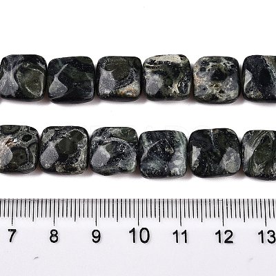 Natural Kambaba Jasper Beads Strands G-T138-171-1