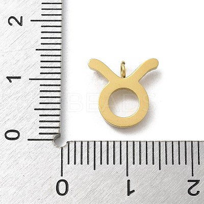 Ion Plating(IP) 304 Stainless Steel Micro Pave Cubic Zirconia Charms STAS-Z107-09G-03-1