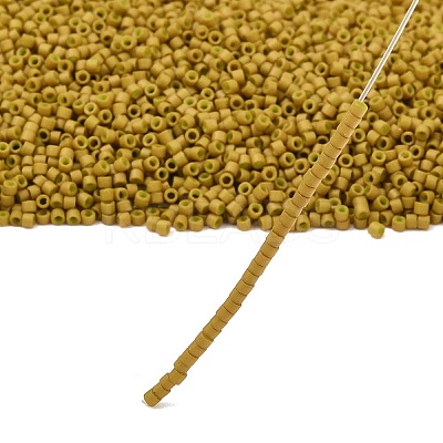 MIYUKI Delica Beads LS-X-SEED-J020-DB0665-1