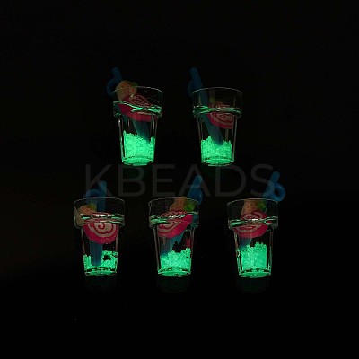 Imitation Fruit Tea Resin Pendants CRES-S359-31-1
