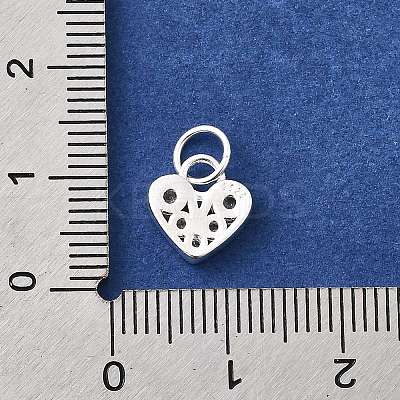 925 Sterling Silver Micro Pave Cubic Zirconia Charms STER-D309-01D-S-1