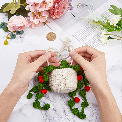Woolen Yarn Crochet Plant Basket Hanging Decorations FIND-WH0152-161B-1