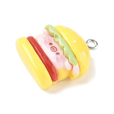 Cute Pin Theme Opaque Resin Pendants LS-RESI-V005-007B-1