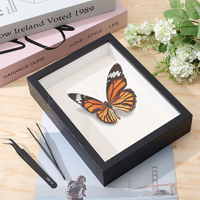 DIY Insect Specimen Display Box Kits DIY-GL0006-09-1