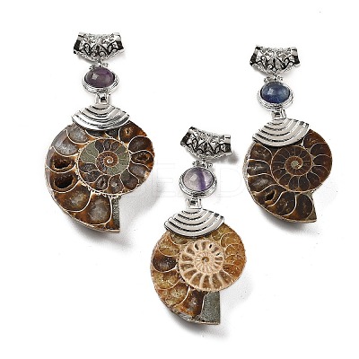 Natural Fluorite Fossil Snail Pendants G-F062-14-1