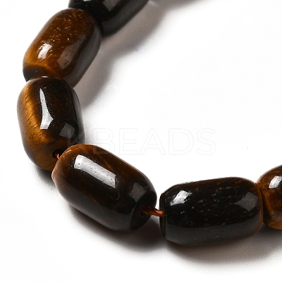 Natural Tiger Eye Beads Strands G-G980-19-1