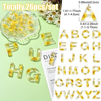 26Pcs 26 Styles Transparent Epoxy Resin Pendants CRES-YW0002-28L-1