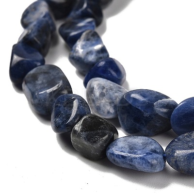 Natural Sodalite Beads Strands G-P497-01E-55-1