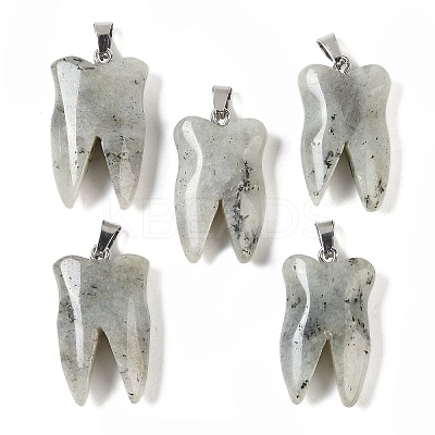 Natural Labradorite Pendants G-G115-01B-1