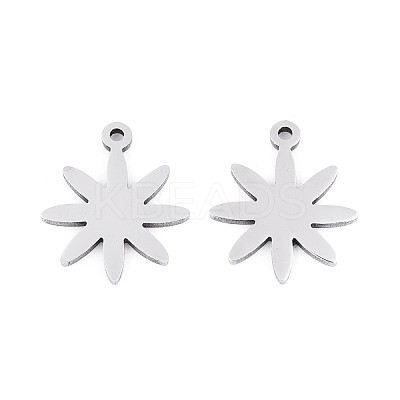 304 Stainless Steel Charms STAS-P433-03P-1