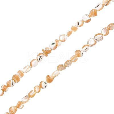 2 Strands Natural Trochid Shell/Trochus Shell Beads Strands SSHEL-FH0001-11-1