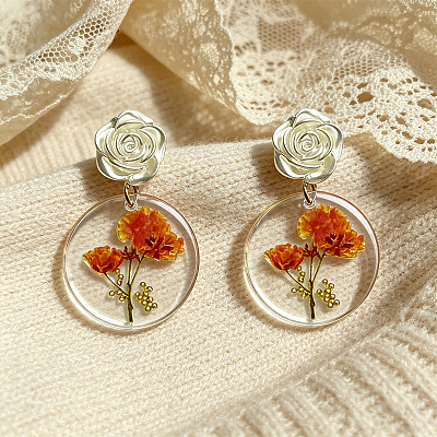 Iron & Acrylic Stud Dangle Earrings for Women WG4F524-01-1