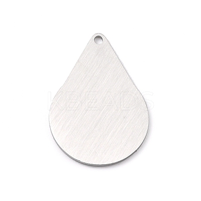 Tarnish Resistant 304 Stainless Steel Pendants STAS-F271-05E-P-1