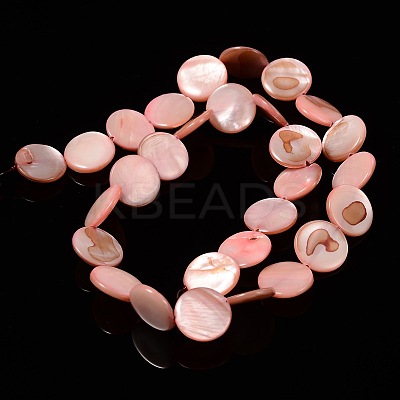 Natural Shell Beads Strands X-PBB251Y-6-1