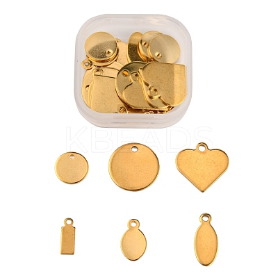 30Pcs 6 Style Ion Plating(IP) 304 Stainless Steel Charms STAS-FS0001-13G-1