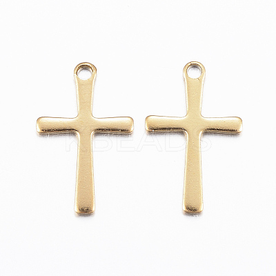 Ion Plating(IP) 304 Stainless Steel Charms LS-X-STAS-H423-10G-1