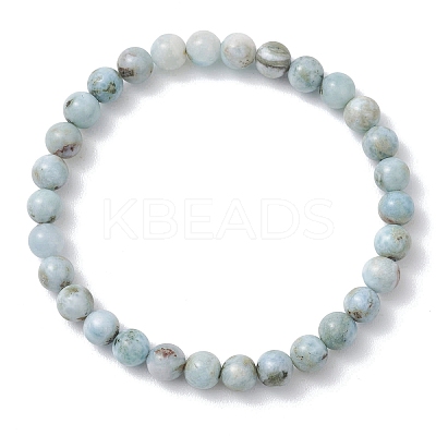 Natural Larimar Round Beads Stretch Bracelets for Women Men BJEW-JB13382-02-1